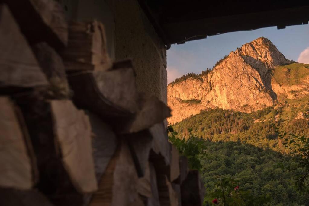 Le Bel Appartement De Montagne Bellevaux Exterior photo